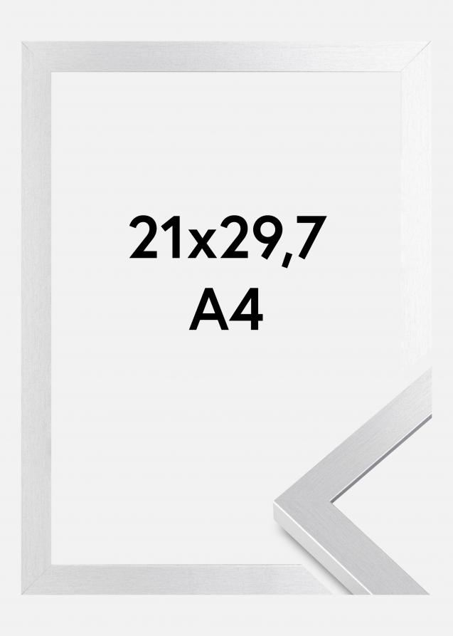 Artlink Kader Selection Acrylglas Zilver 21x29,7 cm (A4)