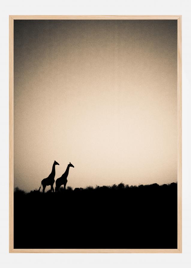 Bildverkstad Giraffes Poster