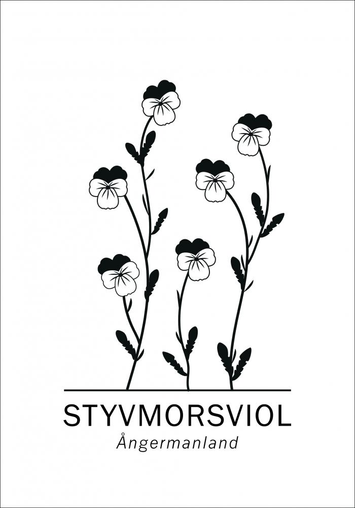 Bildverkstad Styvmorsviol - ngermanland Poster
