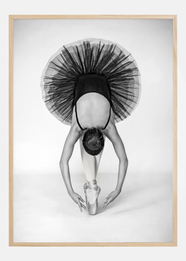 Bildverkstad Ballet Technique Poster