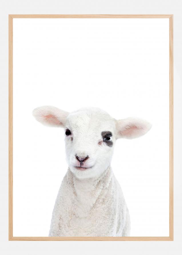 Bildverkstad Baby Lamb Poster
