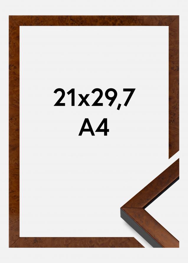 Mavanti Kader Ares Acrylglas Burr Walnut 21x29,7 cm (A4)