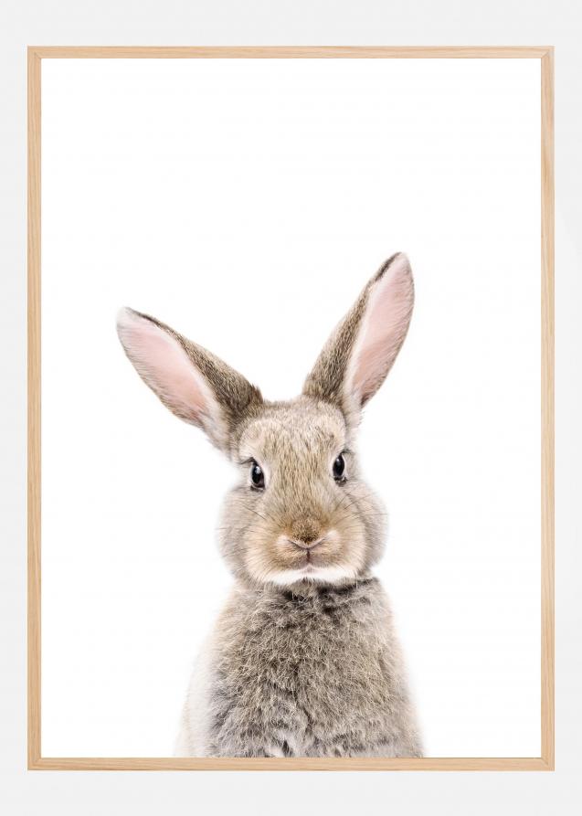 Bildverkstad Baby Rabbit Poster