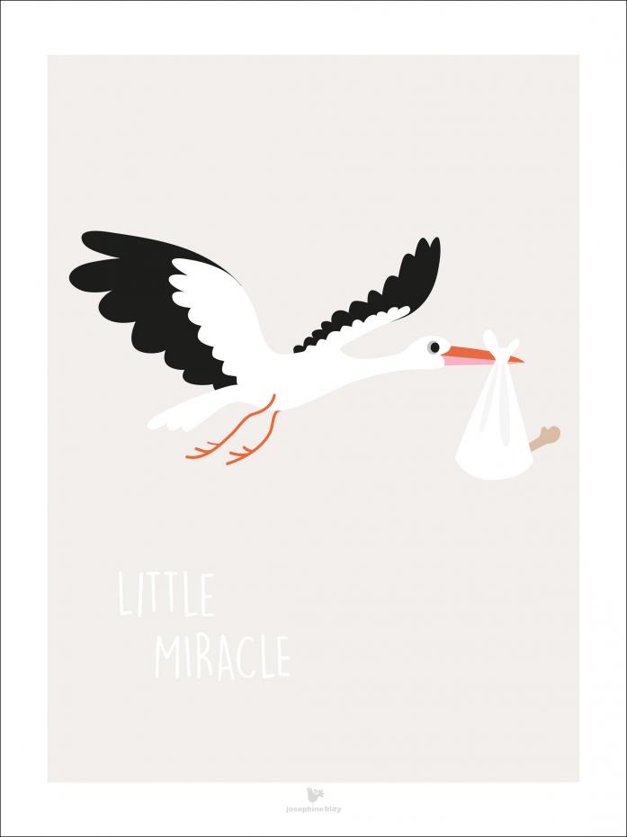 Bildverkstad Little miracle - Beige Poster