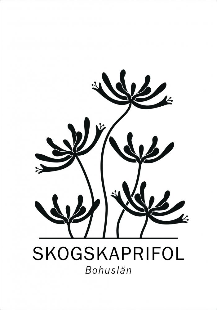 Bildverkstad Skogskaprifol - Bohusln Poster