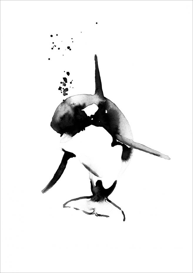 Magdaty Magdaty - Mini killer whale Poster