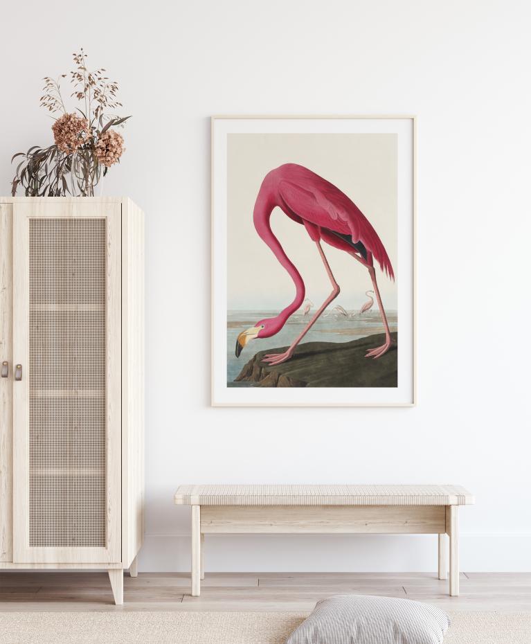 Bildverkstad American Flamingo