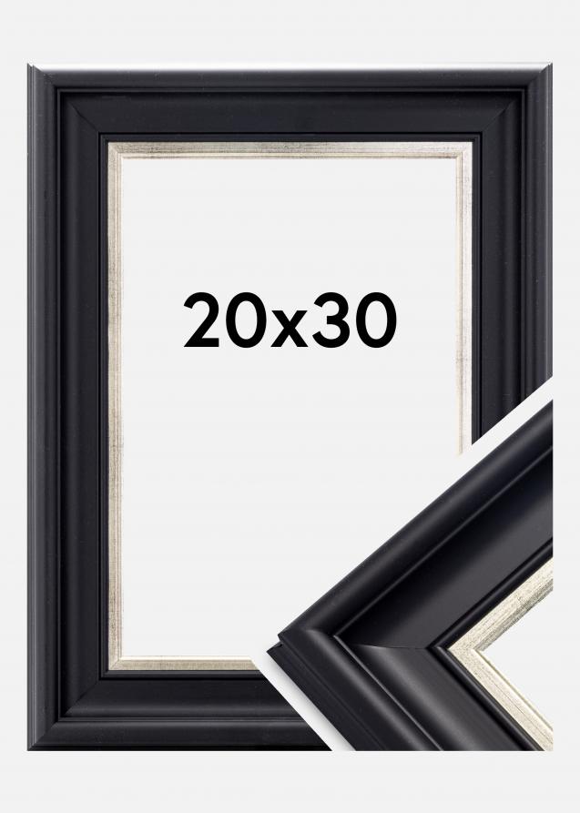 Galleri 1 Kader Dalarna Acrylglas Zwart-Zilver 20x30 cm
