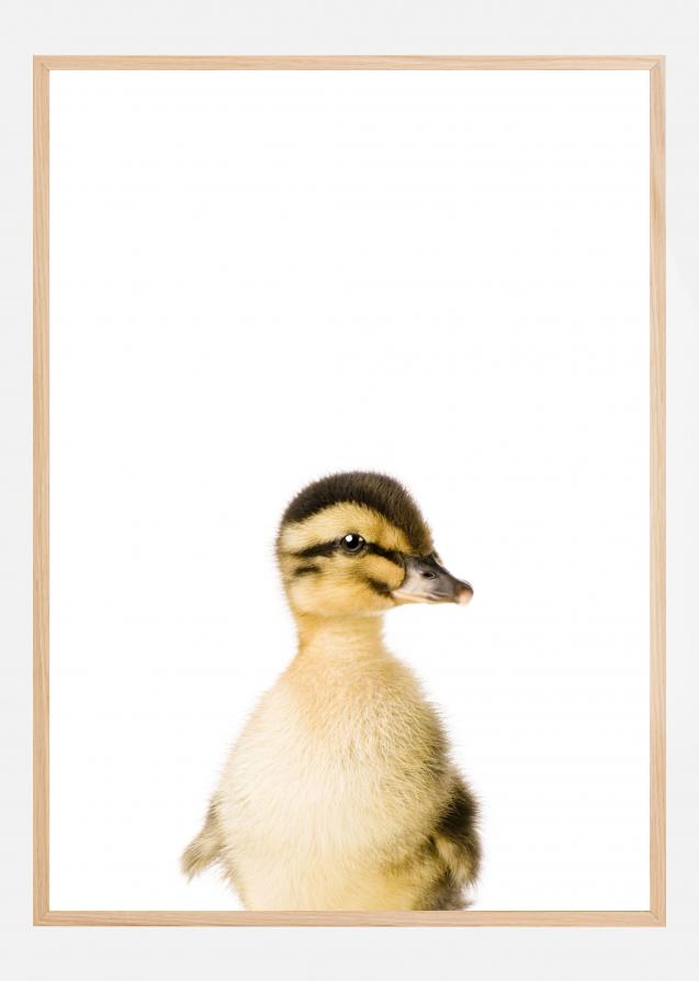 Bildverkstad Baby Duck Poster