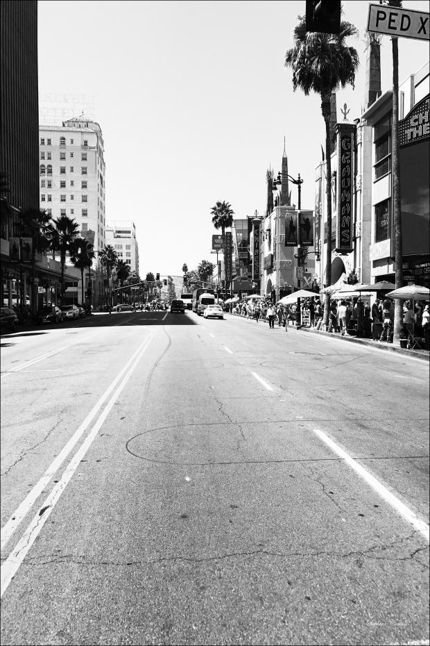 Bildverkstad Hollywood Blvd Street