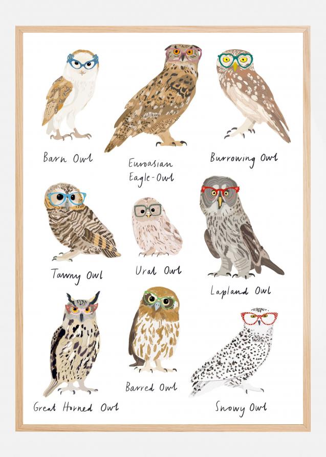 Bildverkstad Owls In Glasses Print Poster
