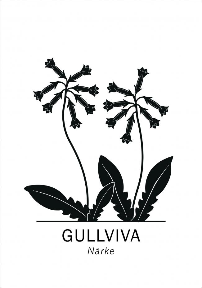 Bildverkstad Gullviva - Nrke Poster
