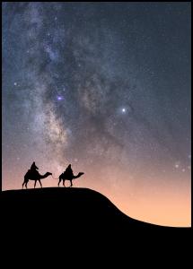 Bildverkstad Camels Under The Stars Poster