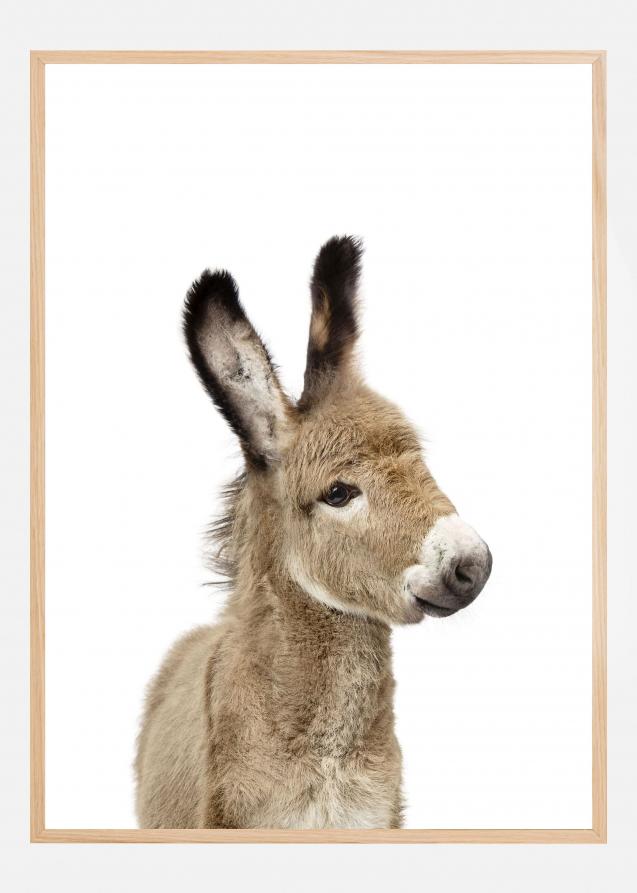 Bildverkstad Baby Donkey Poster