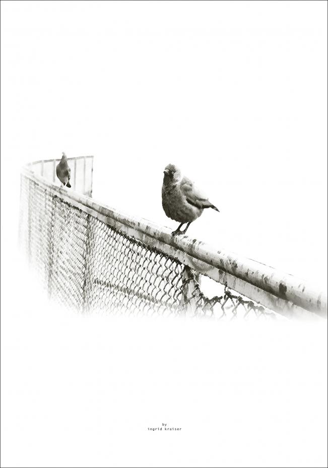 Bildverkstad Two Birds Poster