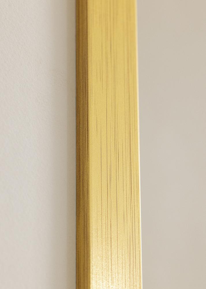 Galleri 1 Kader Gold Wood Acrylglas 18x24 inches (45,72x60,96 cm)