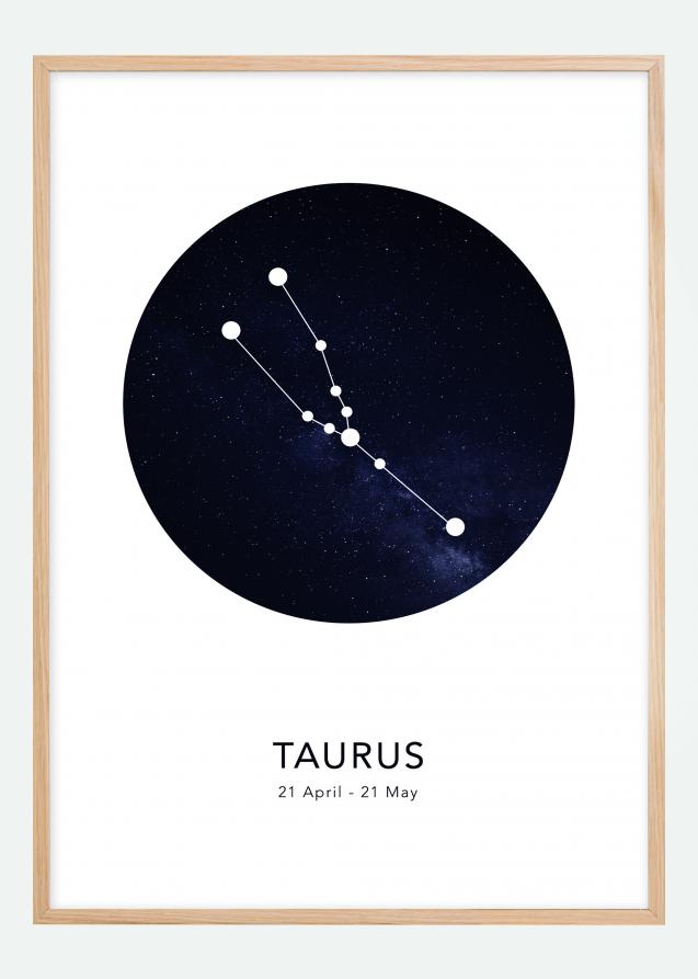 Bildverkstad Taurus Poster