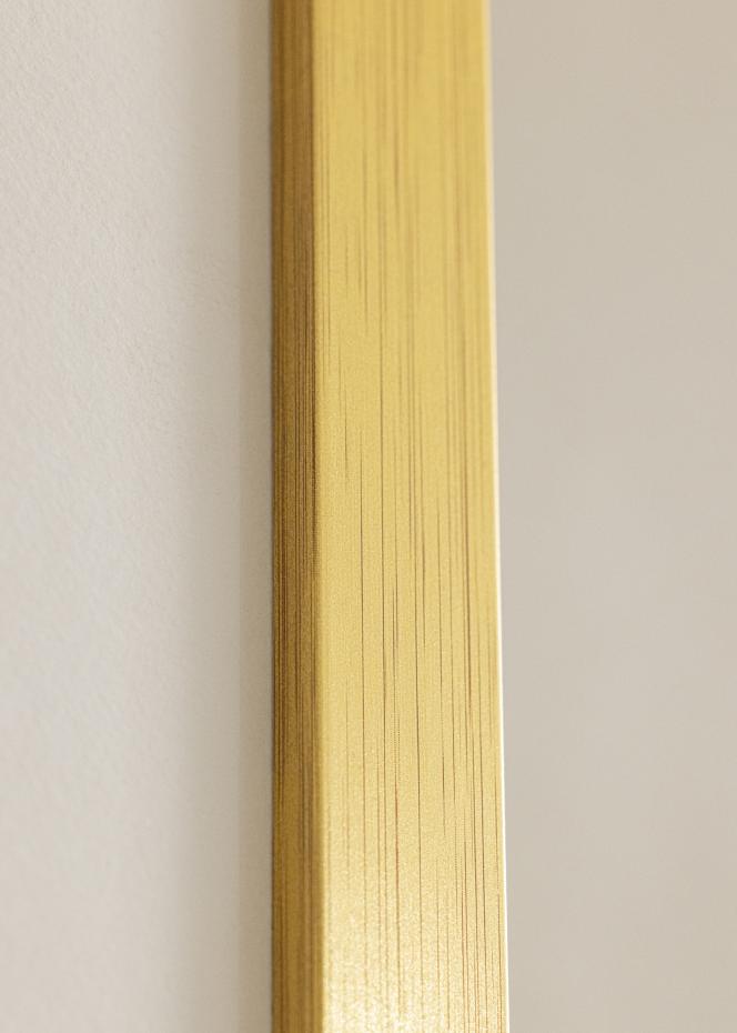 Galleri 1 Kader Gold Wood Ontspiegeld 50x70 cm