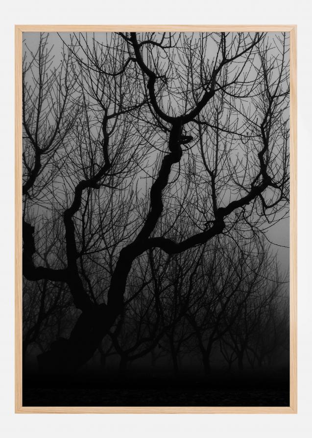 Bildverkstad Dark trees Poster