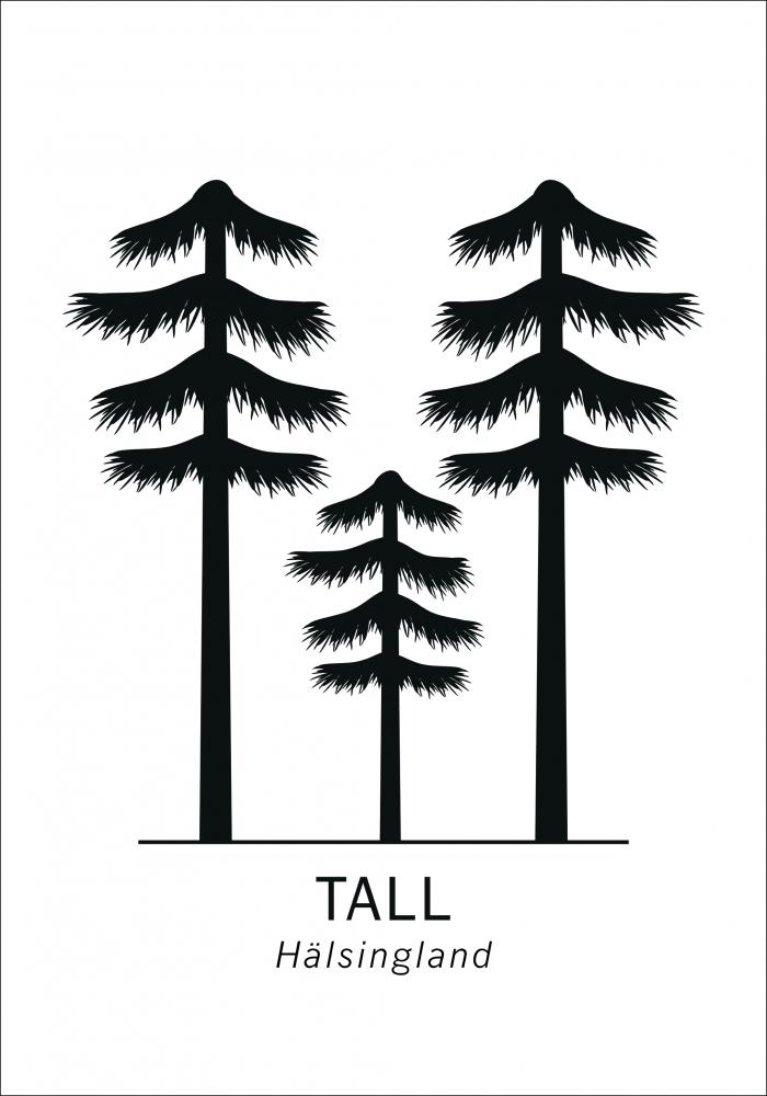 Bildverkstad Tall - Hlsingland Poster