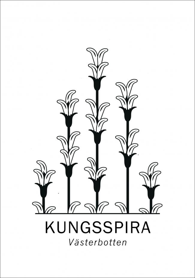 Bildverkstad Kungsspira - Vsterbotten Poster