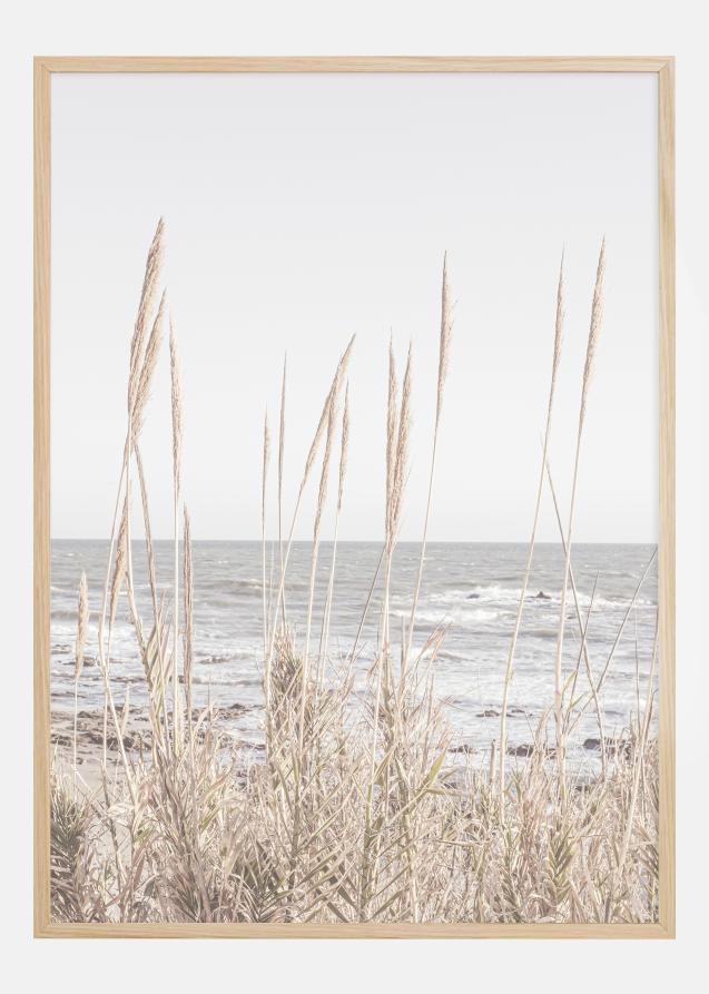 Bildverkstad Beach Vass 001 Poster
