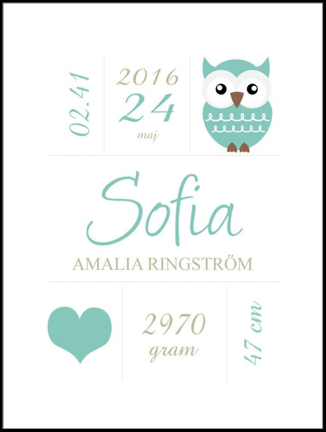 Personlig poster Owl Birth Poster Turquoise