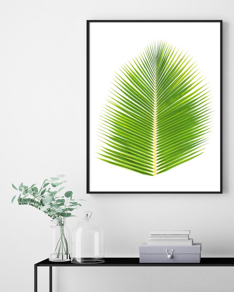 Estancia Palmbladen - 50x70 cm