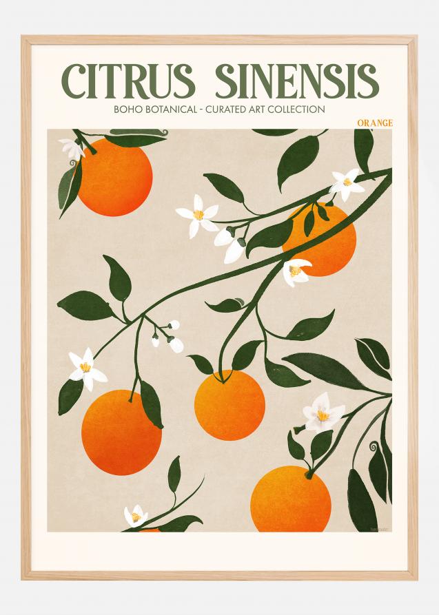 Bildverkstad Boho Citrus Sinensis Poster