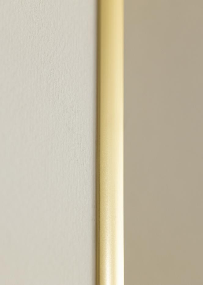 Walther Kader New Lifestyle Acrylglas Goud 21x29,7 cm (A4)