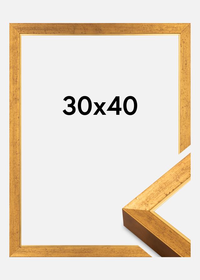 Jämtlands Ramfabrik Kader Brema Acrylglas Goud 30x40 cm