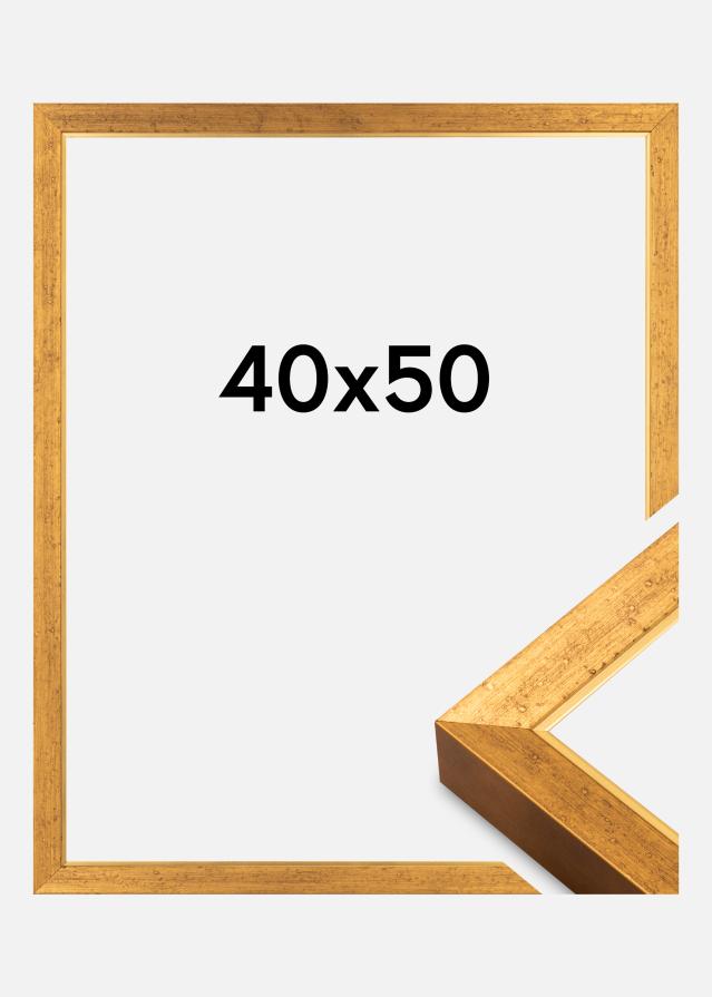 Jämtlands Ramfabrik Kader Brema Acrylglas Goud 40x50 cm