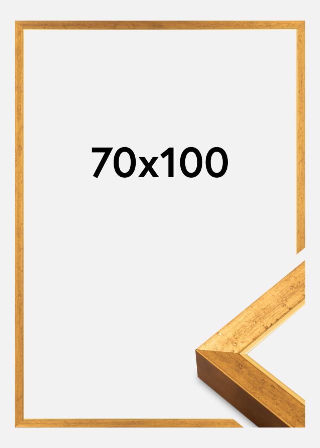 Jämtlands Ramfabrik Kader Brema Acrylglas Goud 70x100 cm