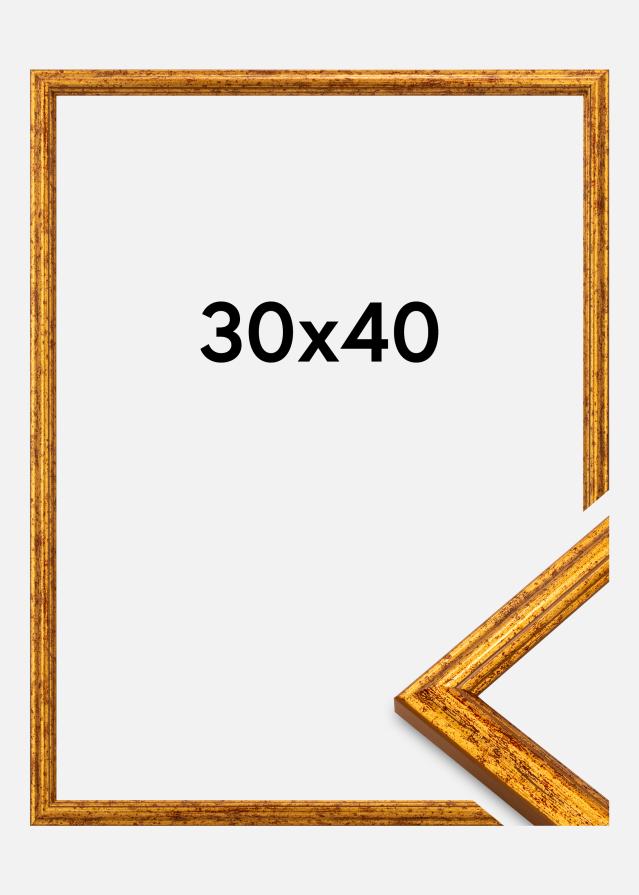 Jämtlands Ramfabrik Kader Claudia Acrylglas Goud 30x40 cm