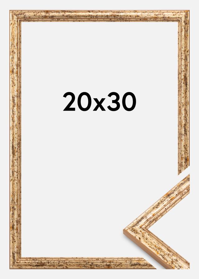 Jämtlands Ramfabrik Kader Claudia Acrylglas Zilver 20x30 cm