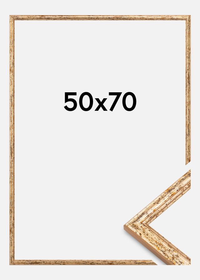 Jämtlands Ramfabrik Kader Claudia Acrylglas Zilver 50x70 cm