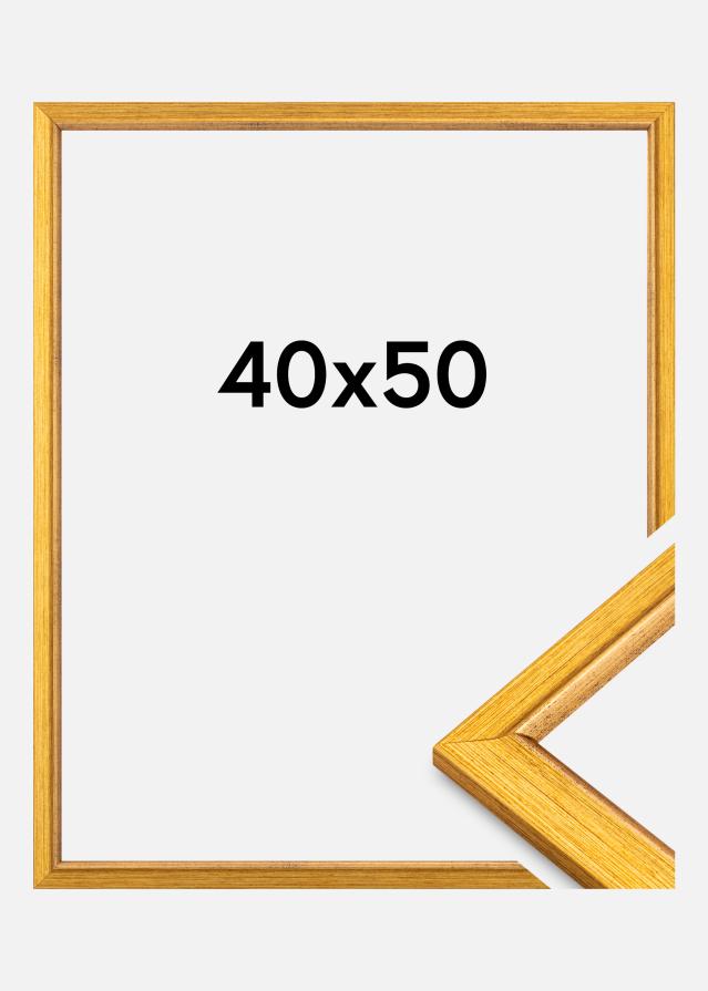 Jämtlands Ramfabrik Kader Marisa Acrylglas Goud 40x50 cm