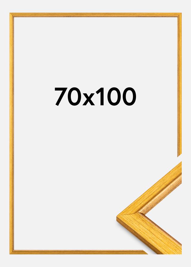 Jämtlands Ramfabrik Kader Marisa Acrylglas Goud 70x100 cm