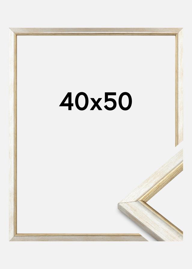 Jämtlands Ramfabrik Kader Marisa Acrylglas Zilver 40x50 cm