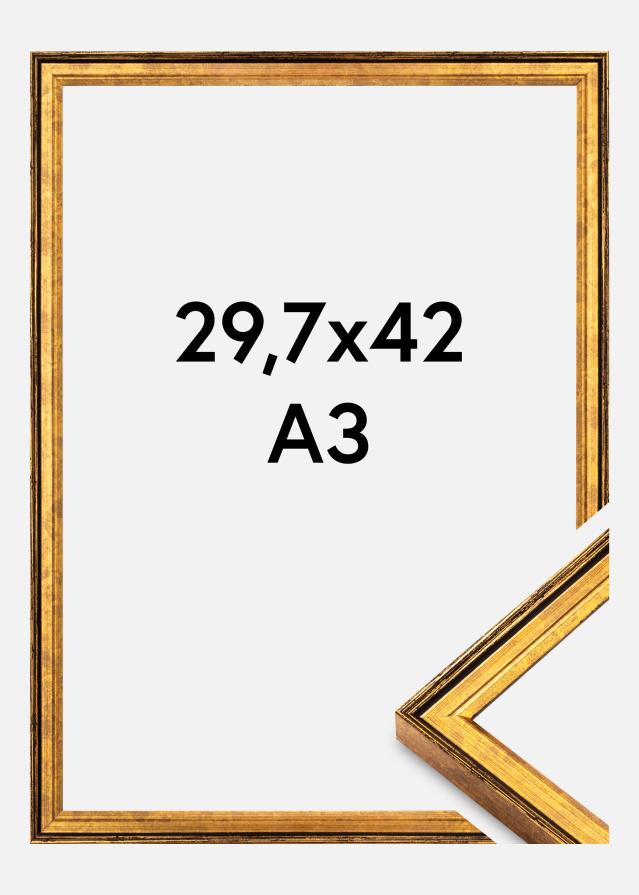 Jämtlands Ramfabrik Kader Ringa Acrylglas Goud 29,7x42 cm (A3)