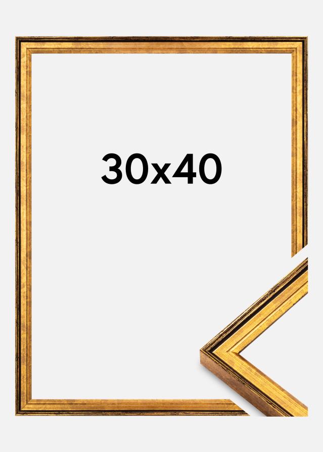 Jämtlands Ramfabrik Kader Ringa Acrylglas Goud 30x40 cm