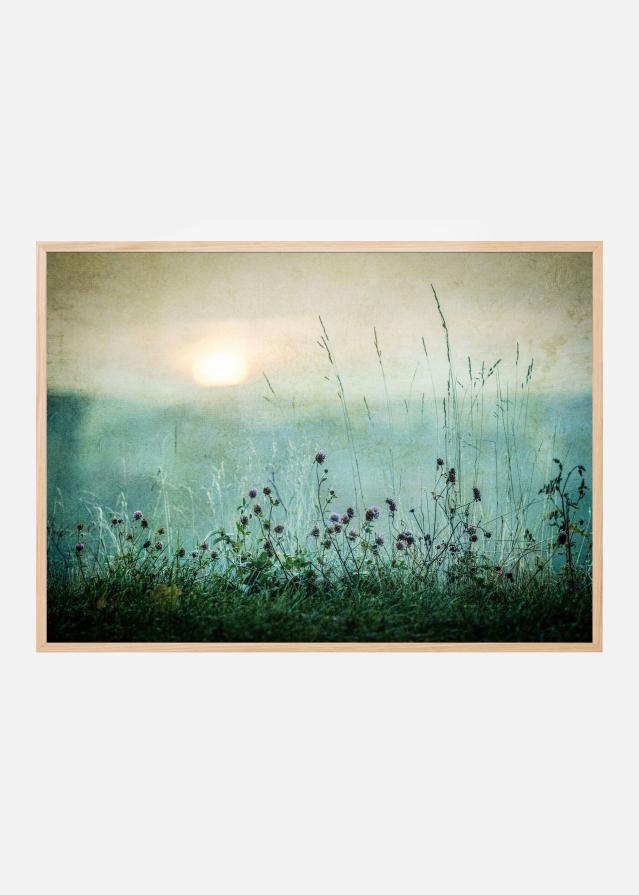 Bildverkstad Autumn sunrise Poster