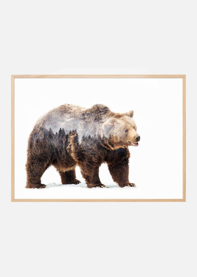 Bildverkstad Bear Poster