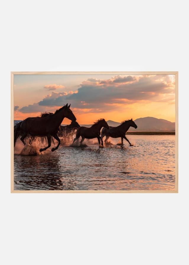 Bildverkstad WATER HORSES Poster