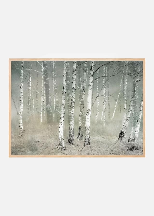 Bildverkstad Morning silence Poster