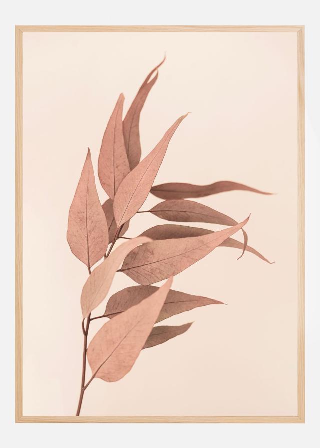 Bildverkstad Dried Eucalyptus Poster