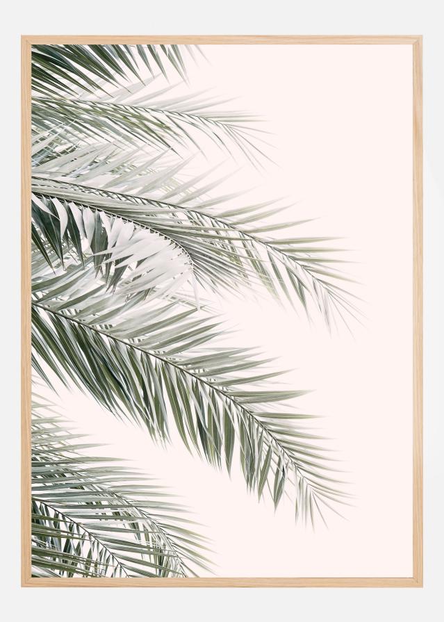 Bildverkstad Blush Palm Leaves Poster