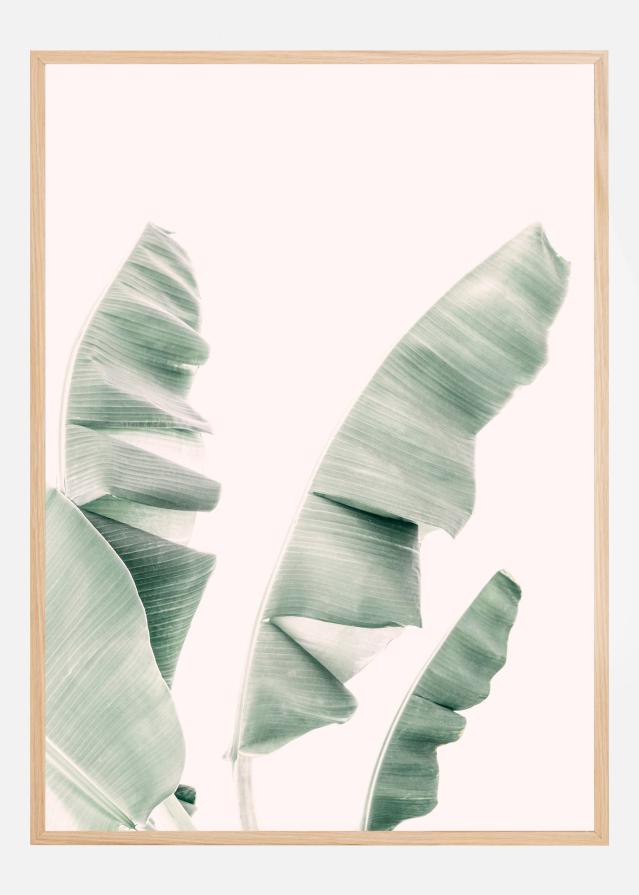 Bildverkstad Blush Banana Leaves Poster