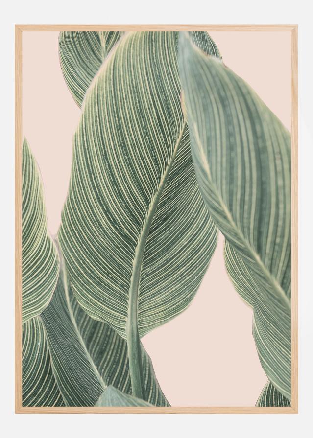 Bildverkstad Calla Leaf Poster