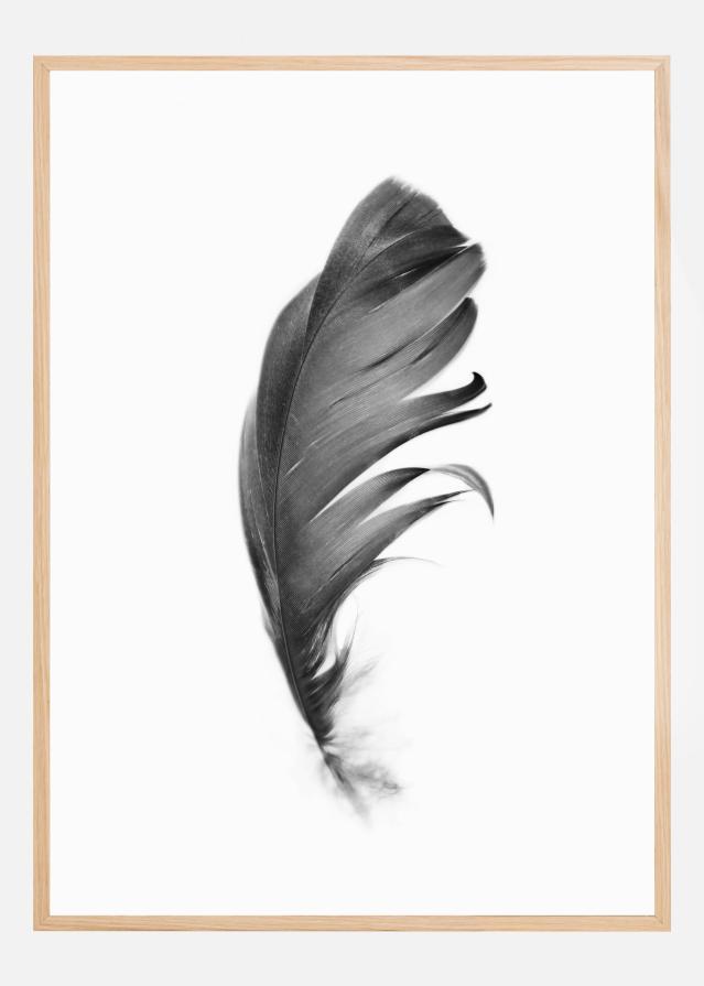 Bildverkstad Feather Poster